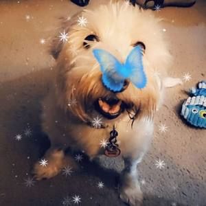 Meet your Posher, Lillian